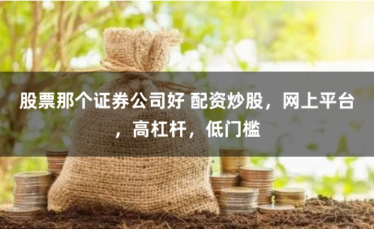 股票那个证券公司好 配资炒股，网上平台，高杠杆，低门槛