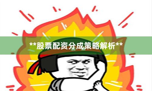 **股票配资分成策略解析**